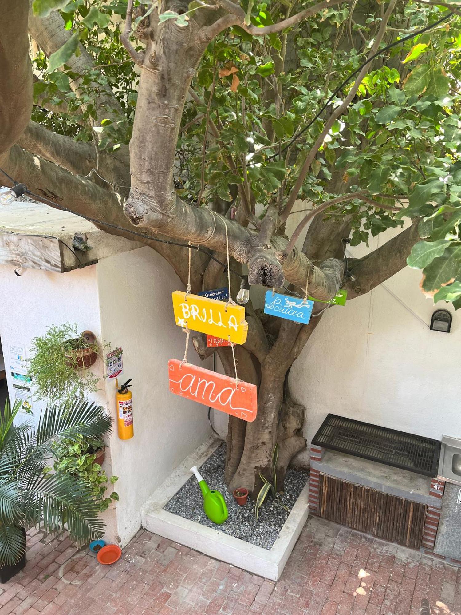 Ocean Lovers Hostel & Apartments Taganga Εξωτερικό φωτογραφία