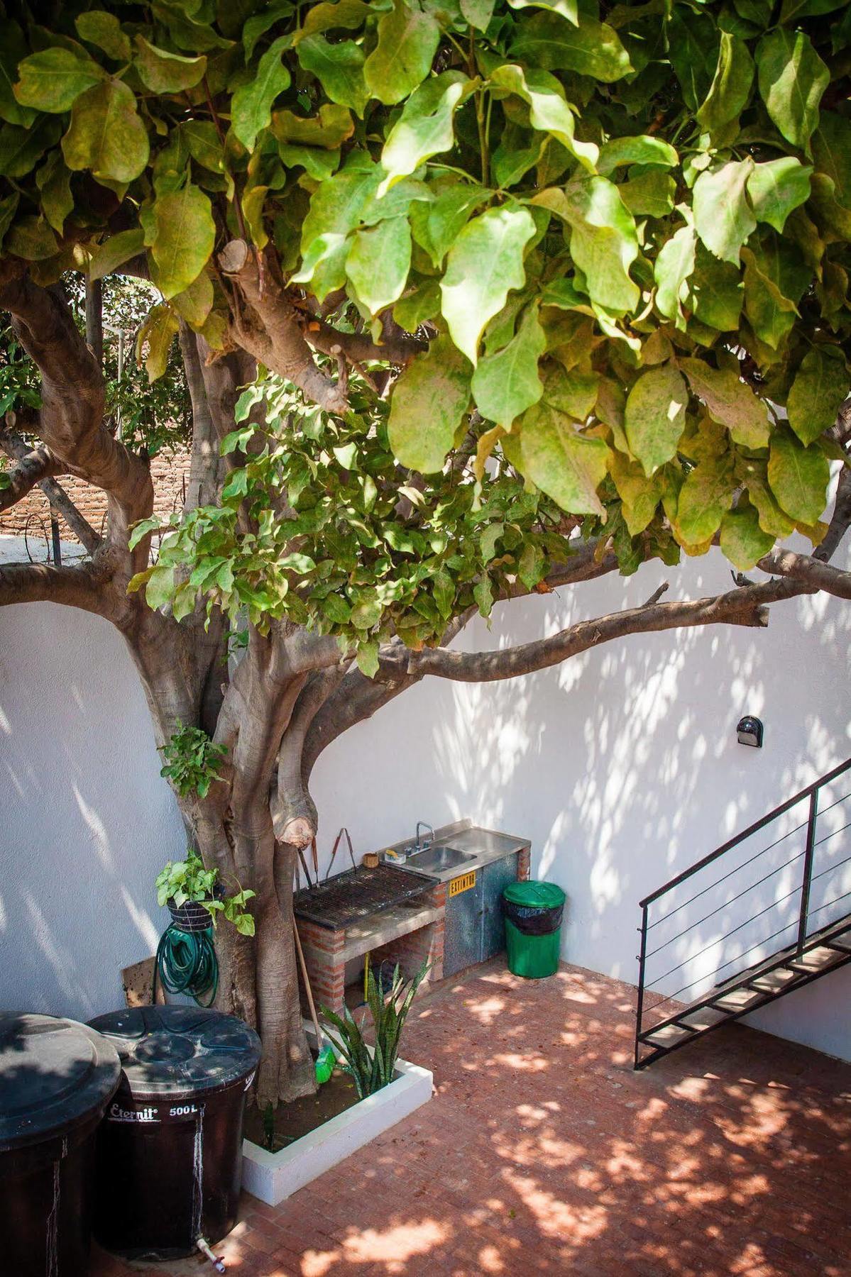 Ocean Lovers Hostel & Apartments Taganga Εξωτερικό φωτογραφία